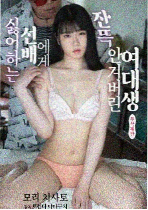 海岸线以北 纪录片封面